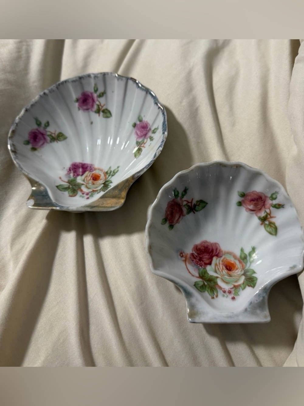 Porcelain shell dishes